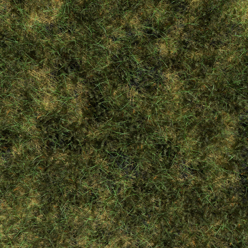 نموذج 3D من Bloodwort Dense Meadow Patch