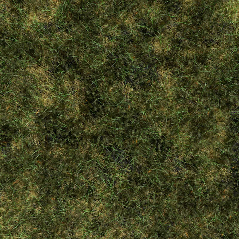 Bloodwort Dense Meadow Patch 3D model