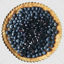 Blueberry Pie png