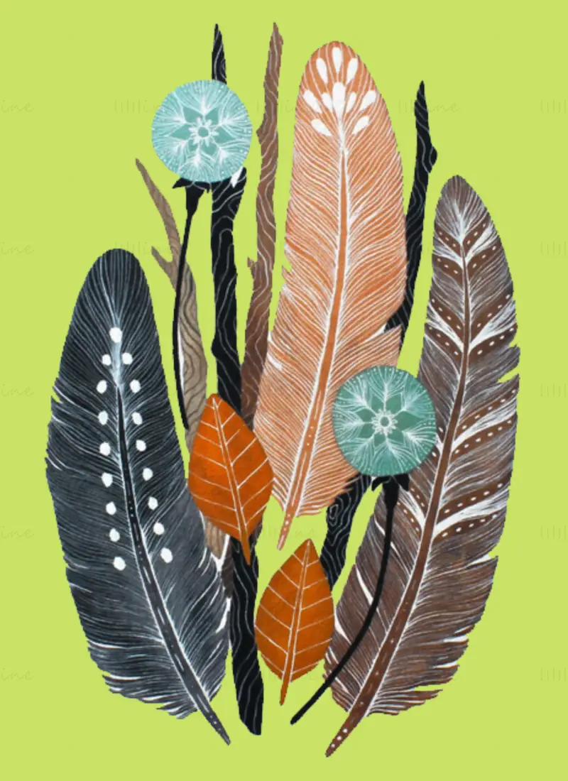Boho Feathers Drawing (PNG)