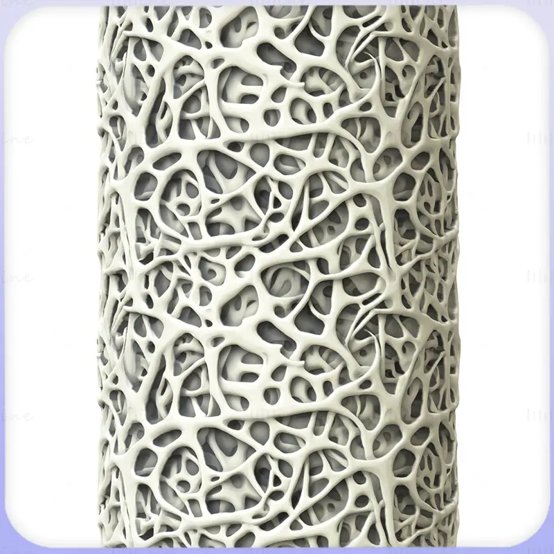 Bone Seamless Texture