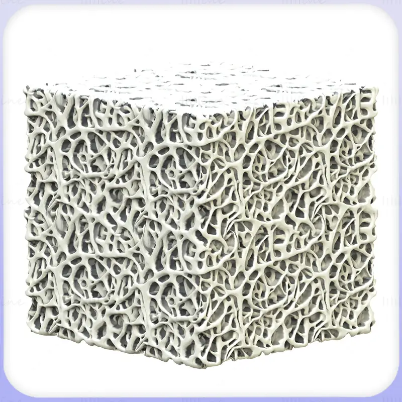 Bone Seamless Texture