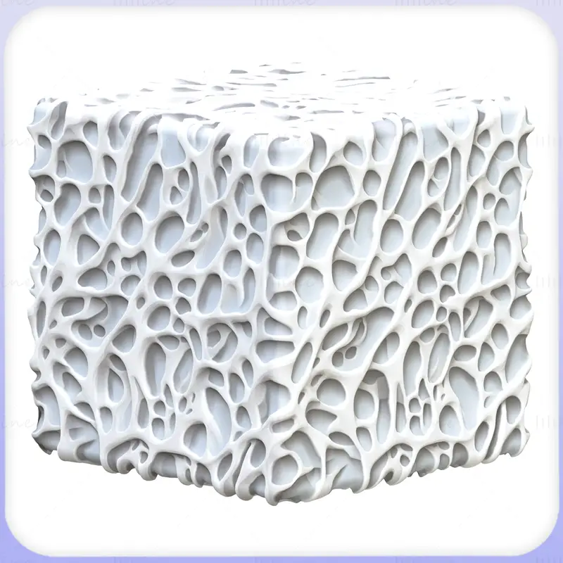 Bone Seamless Texture PNG