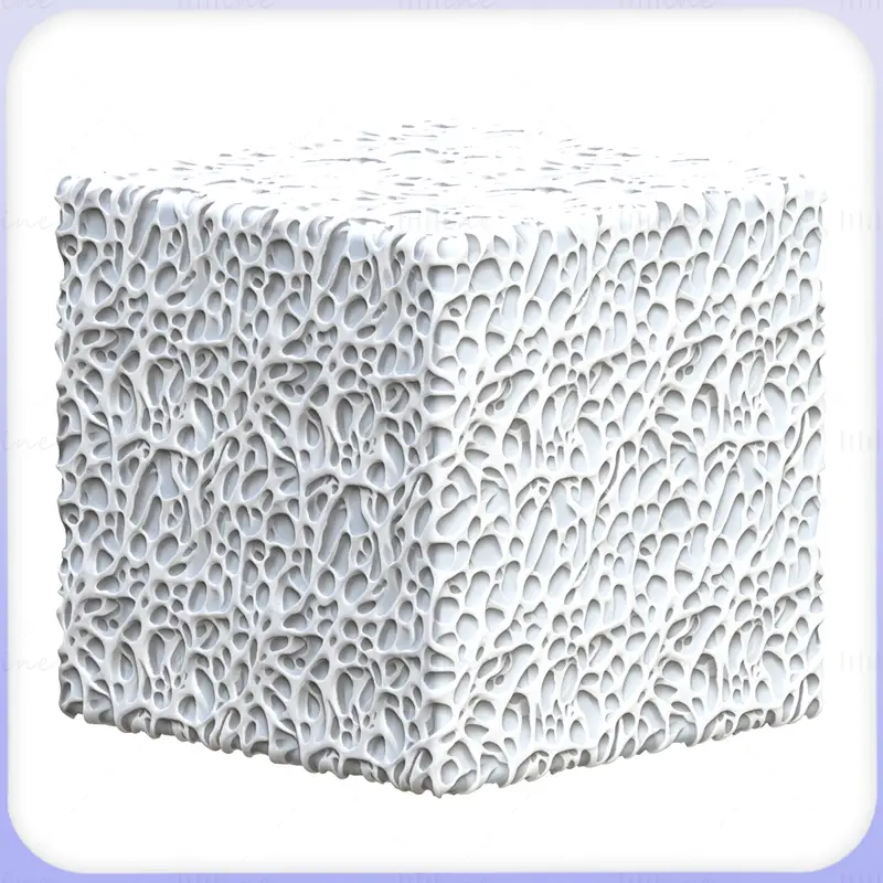 Bone Seamless Texture PNG