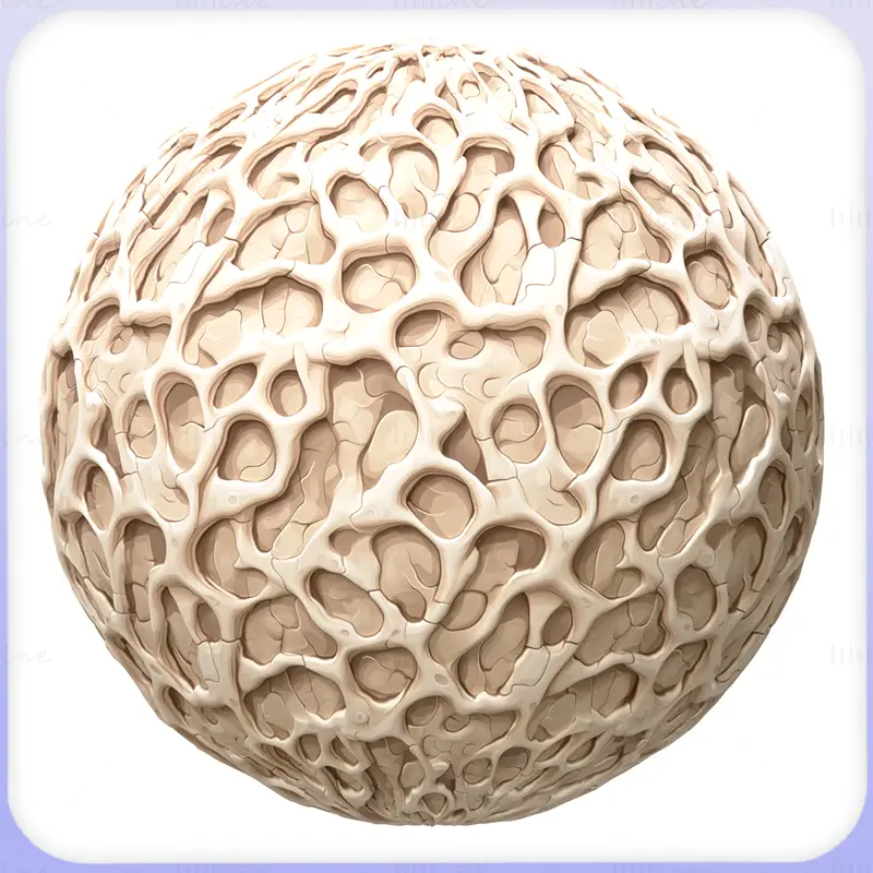 Bone Seamless Texture PNG