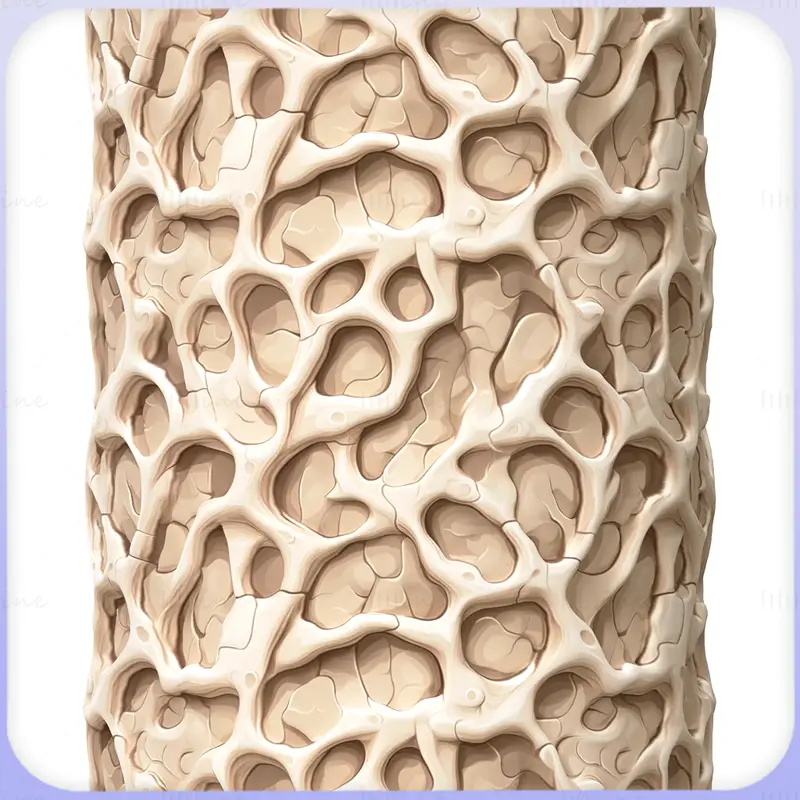 Bone Seamless Texture PNG