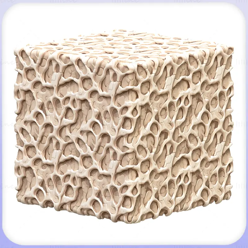 Bone Seamless Texture PNG