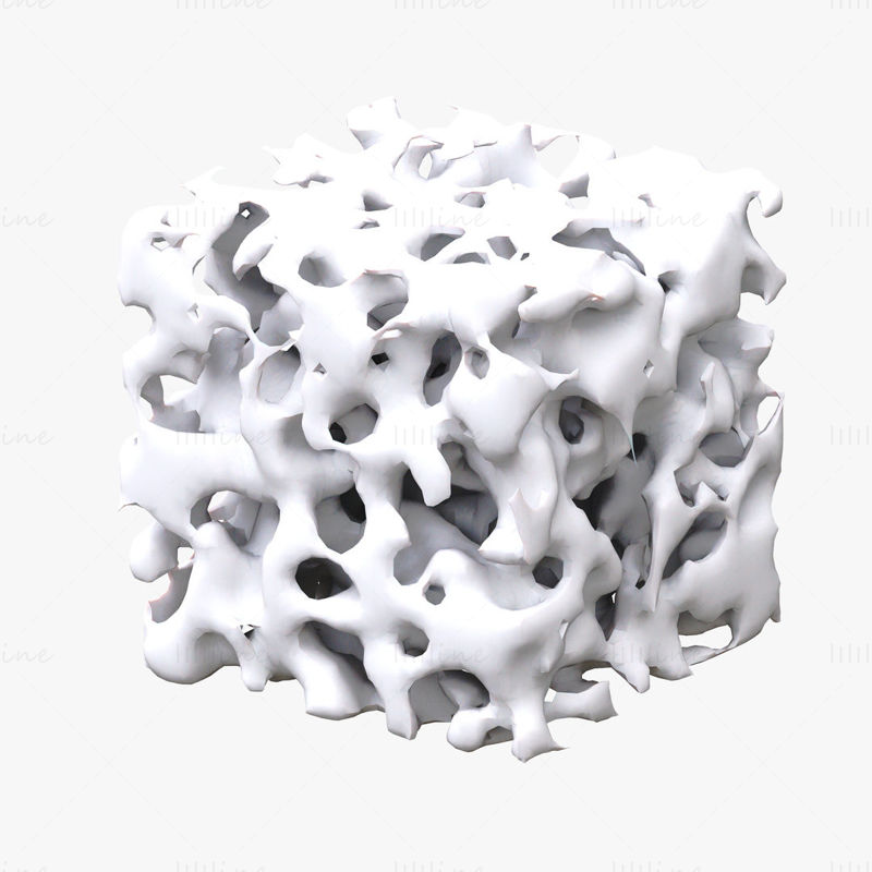 نموذج ثلاثي الأبعاد لحزمة هيكل الإسفنج العظمي