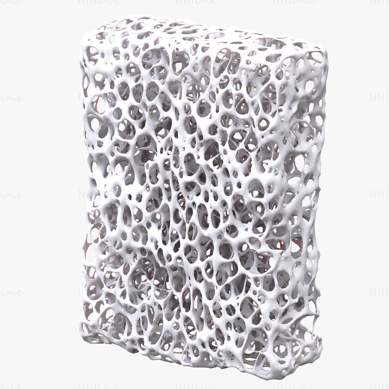 Ensemble de structure d'éponge osseuse modèle 3D