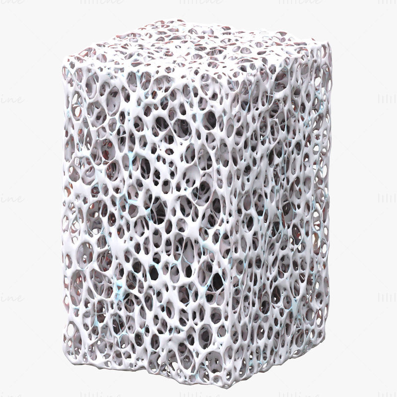Kostní houba Structure Bundle 3D Model