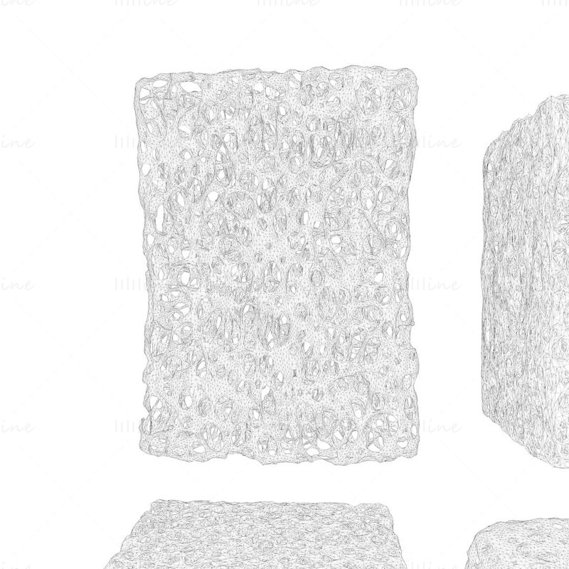 Bone Sponge Structure Bundle 3D Model