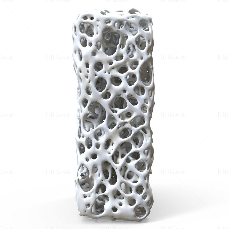 3D model struktury kostí