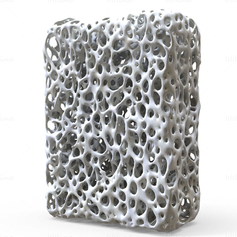 Structure osseuse modèle 3D