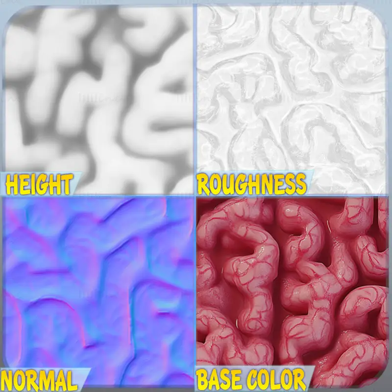 Brain Seamless Texture PNG