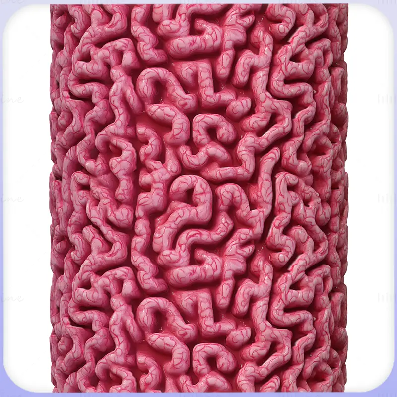 Brain Seamless Texture PNG