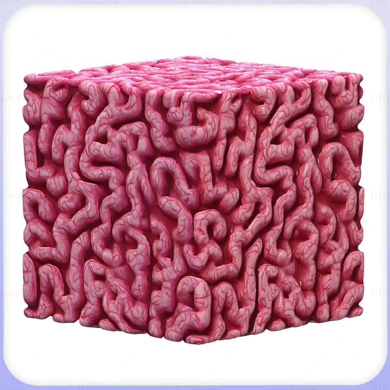 Brain Seamless Texture PNG