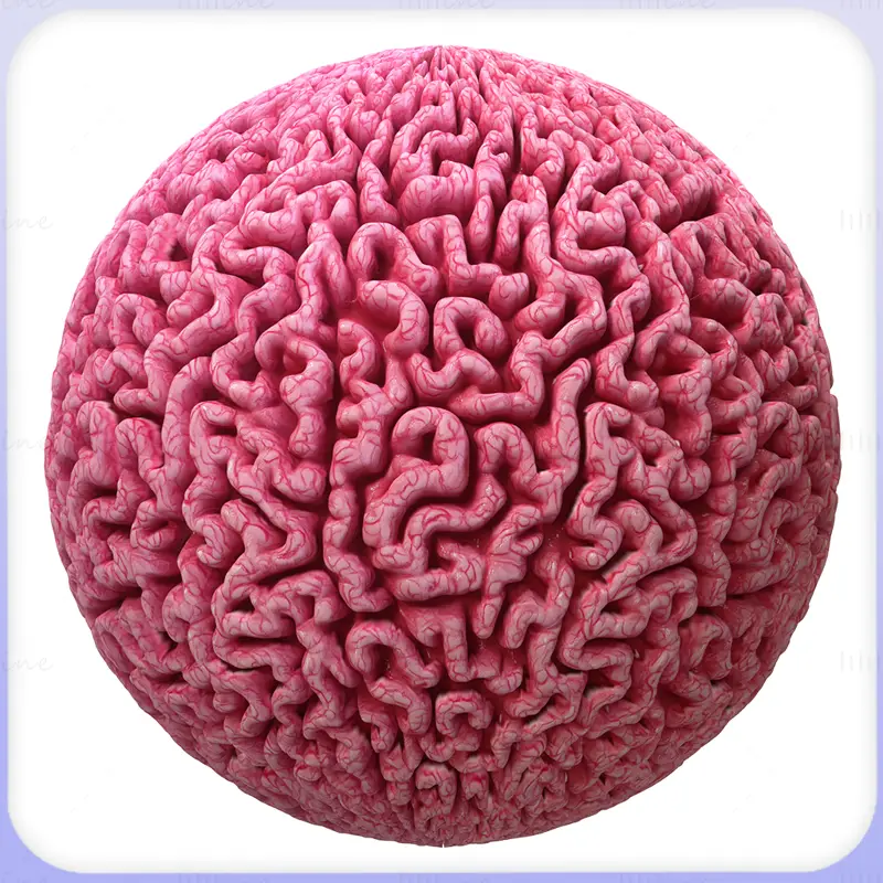 Brain Seamless Texture PNG