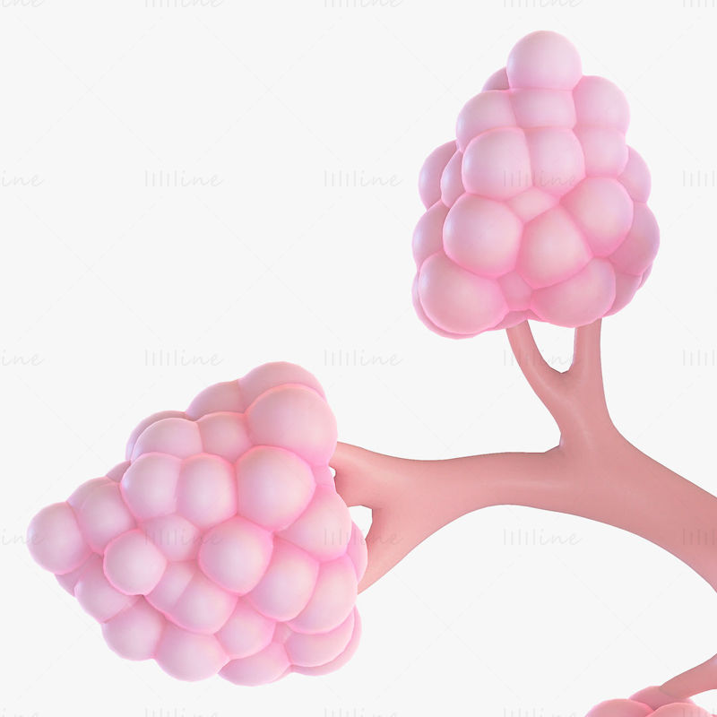 3D model anatomie mléčného kanálu prsu
