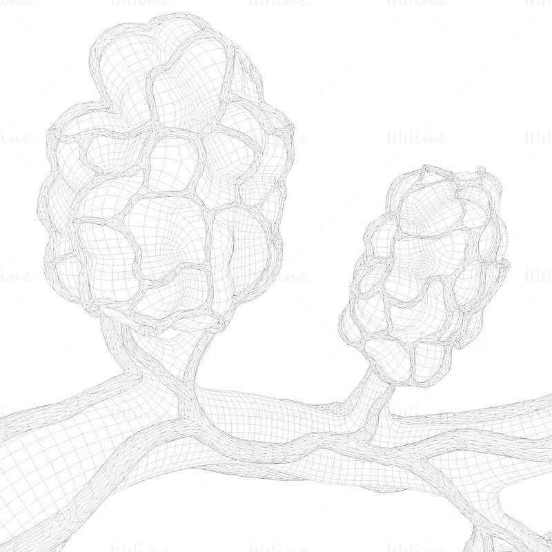 Bryst Lactiferous Duct Anatomy 3D-modell