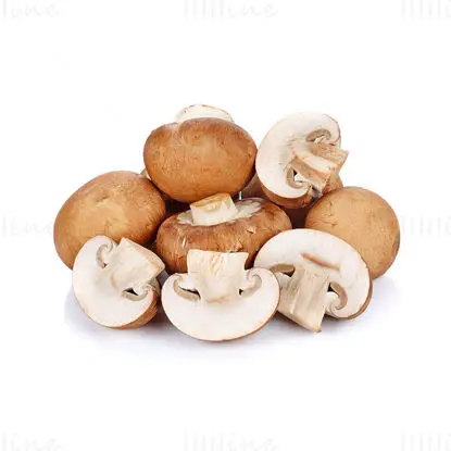 Brown Mushroom image