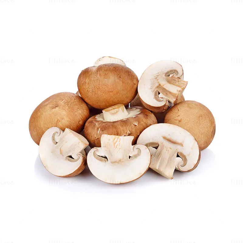 Brown Mushroom image