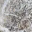 Bubbles in ice photo