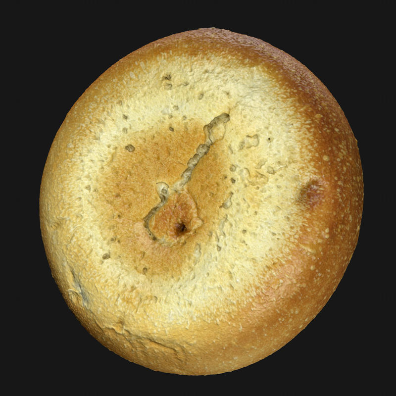 小圆面包 3D模型