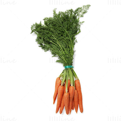 Bunch of carrots png