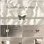 Butterfly PowerPoint Template