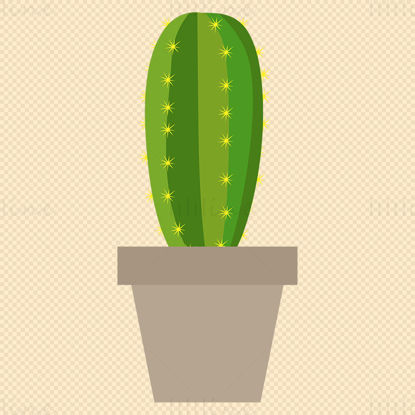 Cactus green plant vector