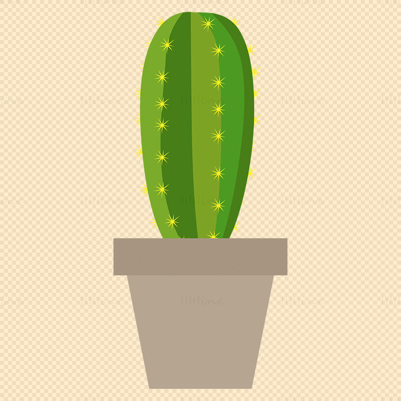 Cactus green plant vector