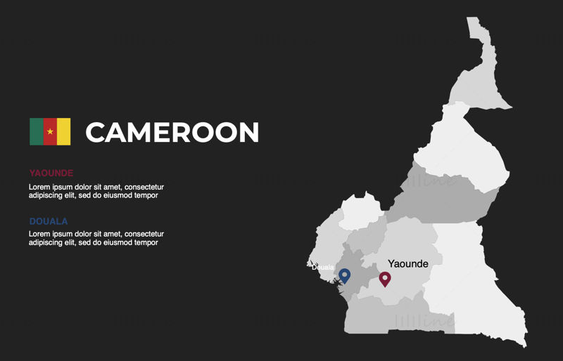Инфографическая карта Камеруна, редактируемая PPT и Keynote