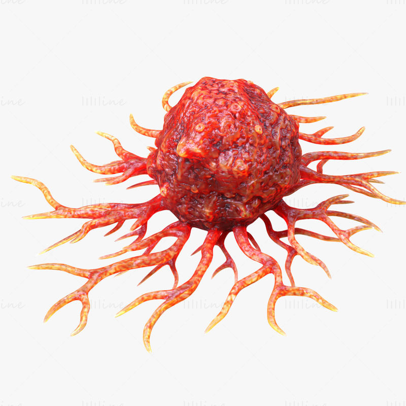 Kreftcelle 3D-modell