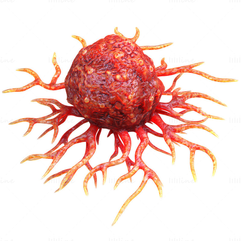 3D model rakovinné buňky
