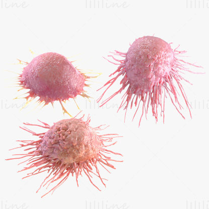 Model 3D de celule canceroase