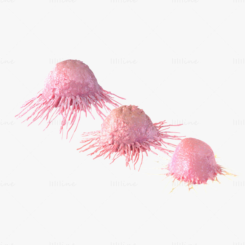 Modelo 3D de células cancerígenas