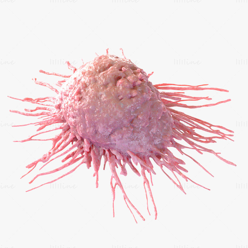 3D-Modell einer Krebszelle