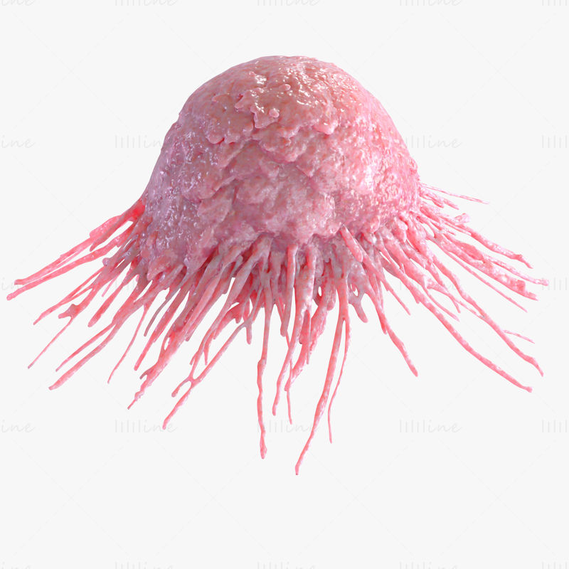 Раковая клетка 3D модель