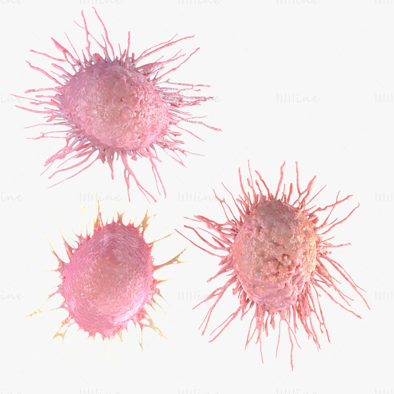 Modelo 3D de células cancerígenas