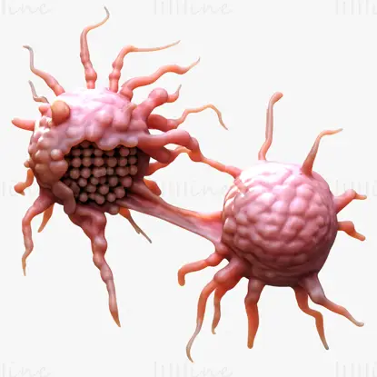 Cancer Cell 3D Model