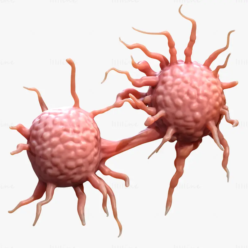 Cancer Cell 3D Model