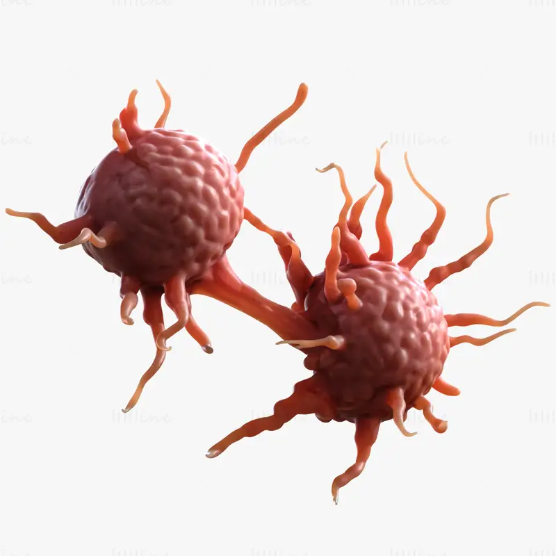 Cancer Cell 3D Model