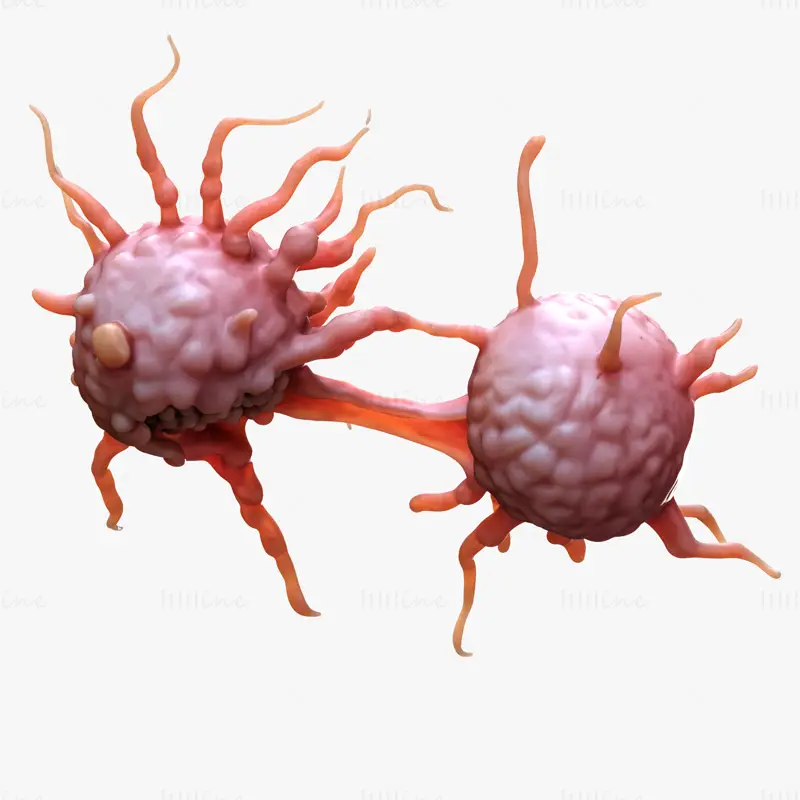 Cancer Cell 3D Model