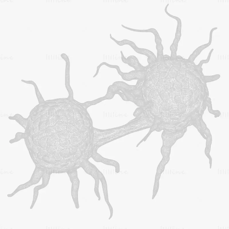 Cancer Cell 3D Model