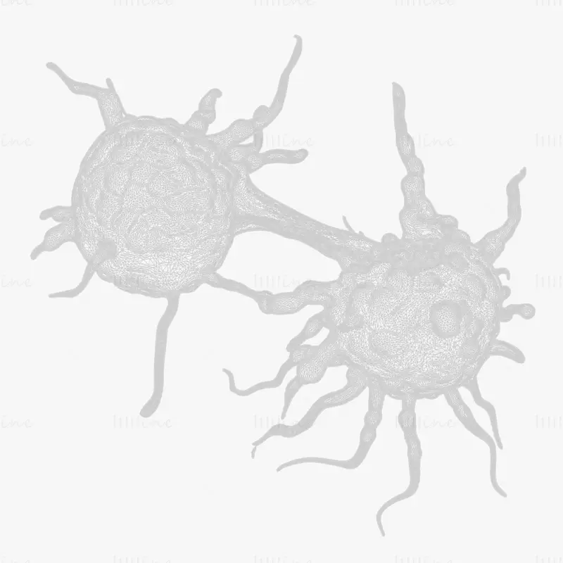 Cancer Cell 3D Model