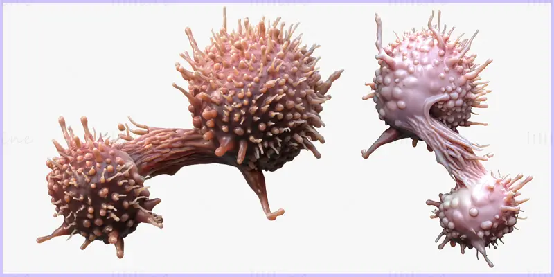 Lékařský 3D model rakovinných buněk
