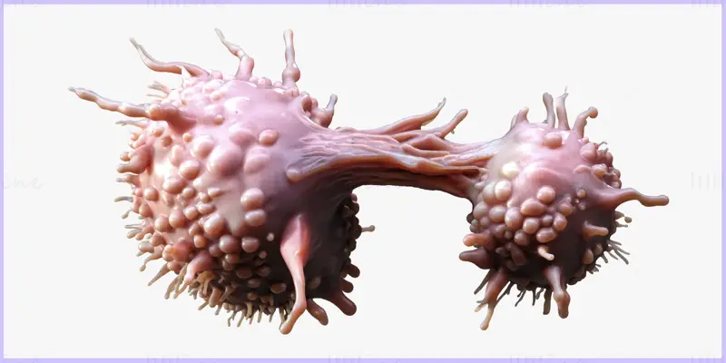 Lékařský 3D model rakovinných buněk