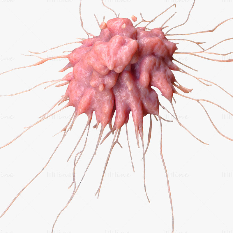 Modelo 3D de tumor de células cancerígenas