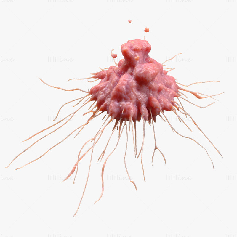 Modelo 3D de tumor de células cancerígenas