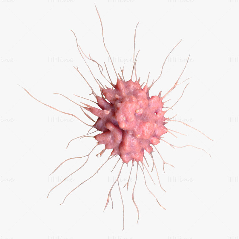 がん細胞腫瘍3Dモデル